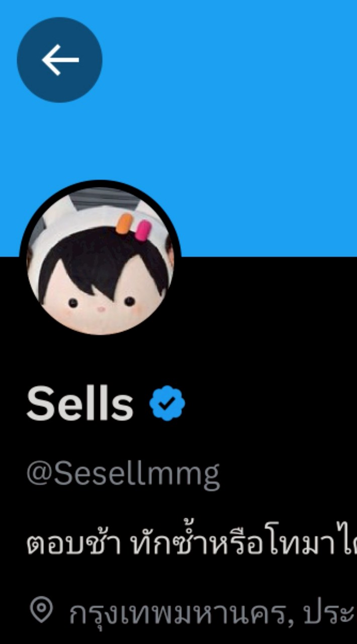 รวมผู้เสียหายร้าน #sesellmmg