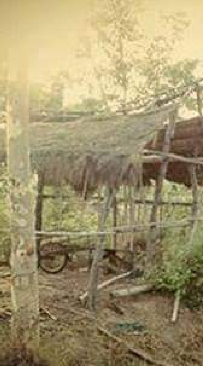 อีสานพลัดถิ่น