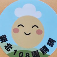 新北108好市多代購