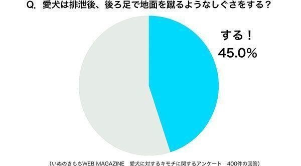 排泄後に後ろ足で地面を蹴る 犬 実はこだわりの理由が