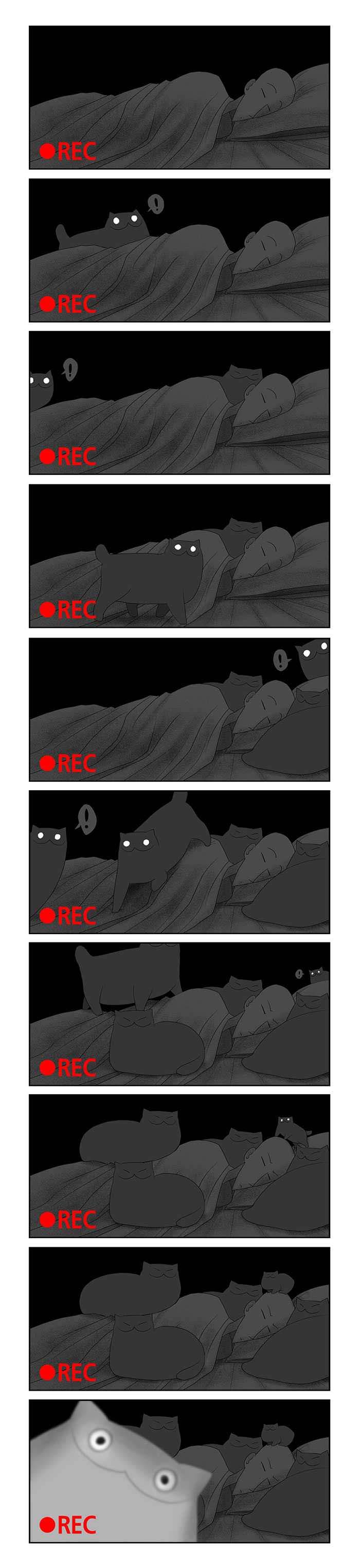 貓奴們必懂！20張與貓生活日常漫畫：半夜不睡覺，早上吃罐罐！