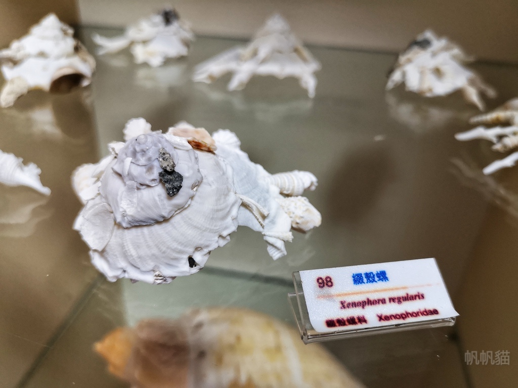 IMG_20190925_134019-01