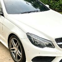 เซลล์ฟรีแลนด์