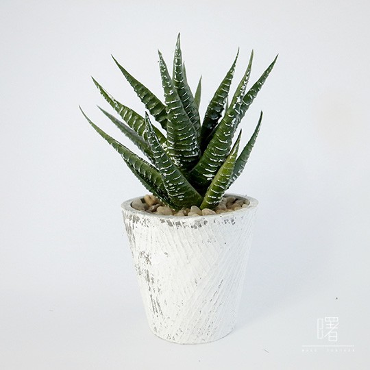 【曙】仿真多肉植物 小盆栽 質感 咖啡廳 民宿 餐廳 擺設