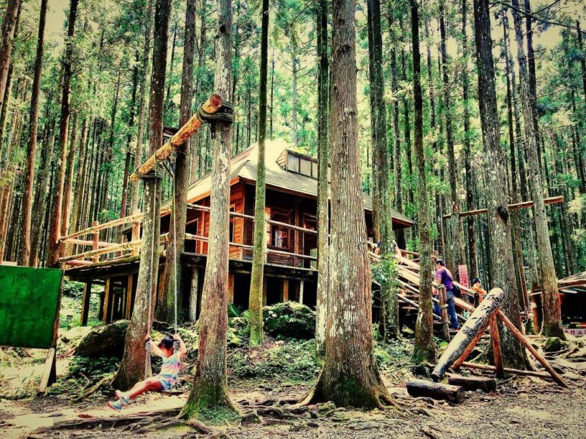 馬武督探索森林、綠光小學