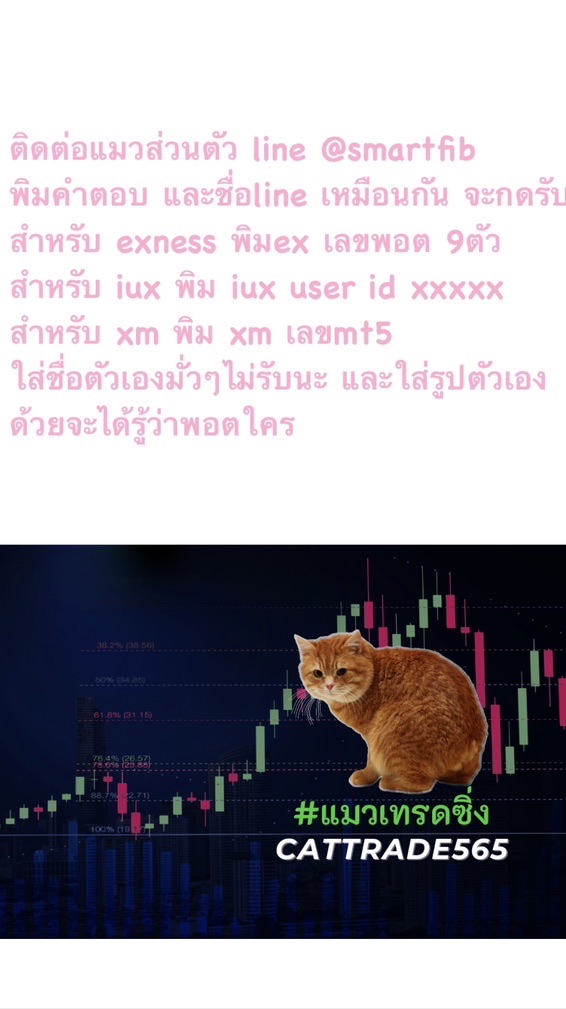 Partner แมว exness xm iux