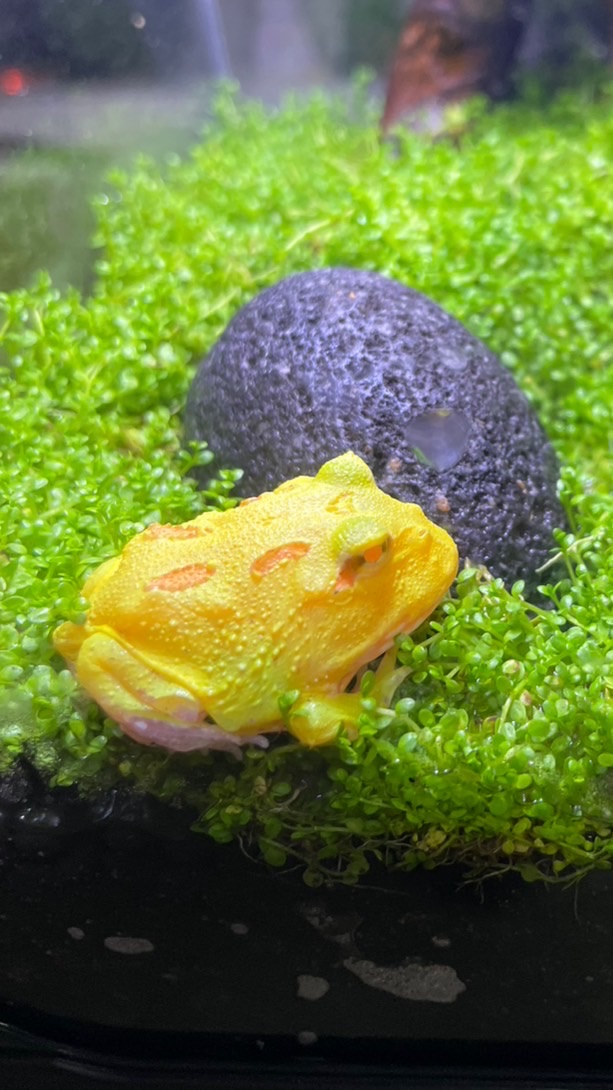 造富俱樂部