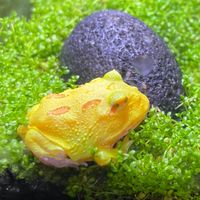 造富俱樂部