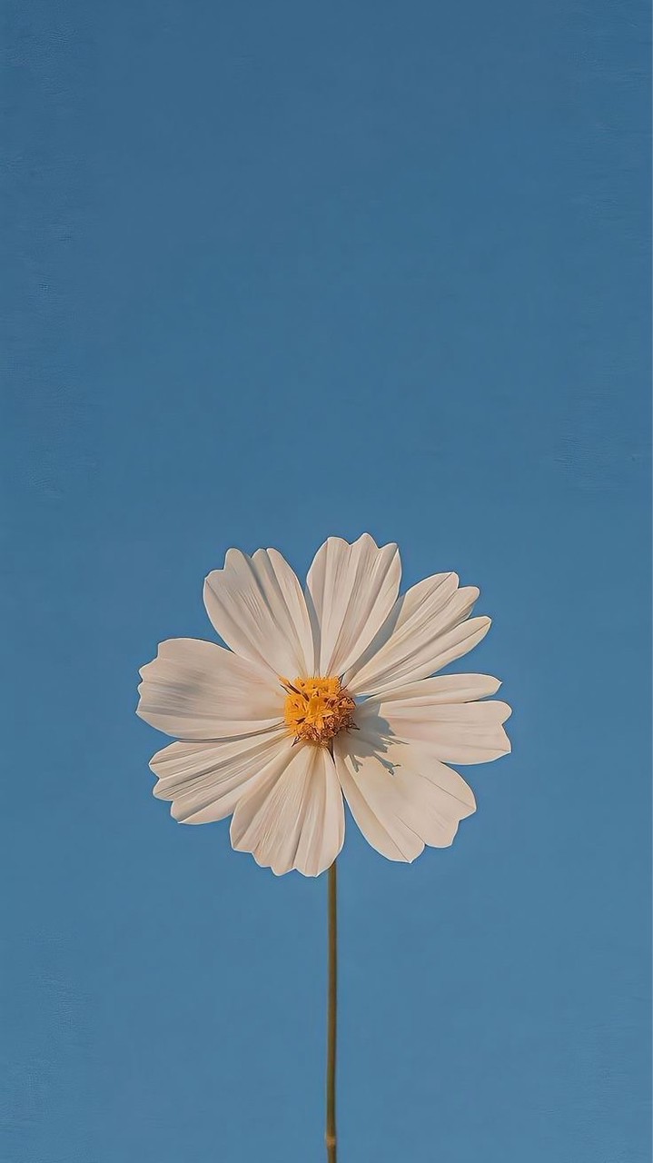 ギターやろ‼️