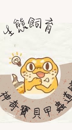 甲蟲道館 生態教育推廣總部