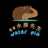 GK水豚先生