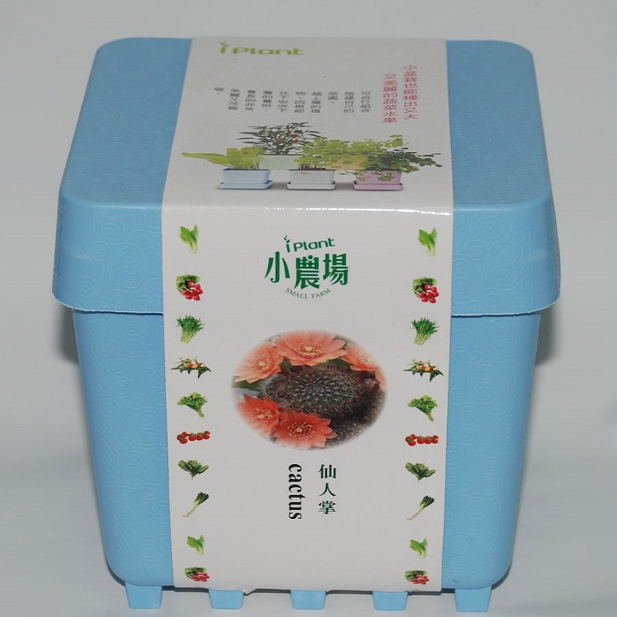 【iPlant】小農場系列 仙人掌