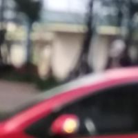 鍾張國際貿易有限