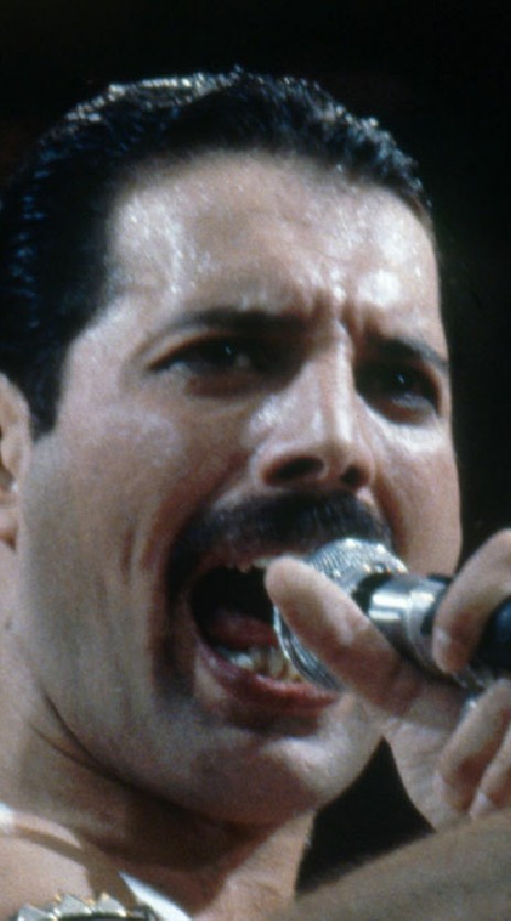 ชมรมคนชอบ Queen