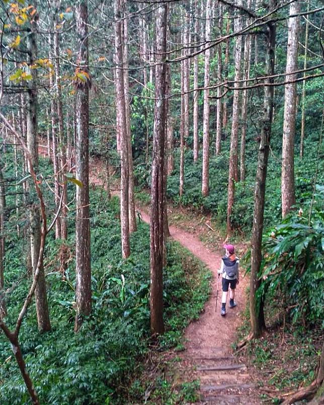 照片來源：IG @oliviichan