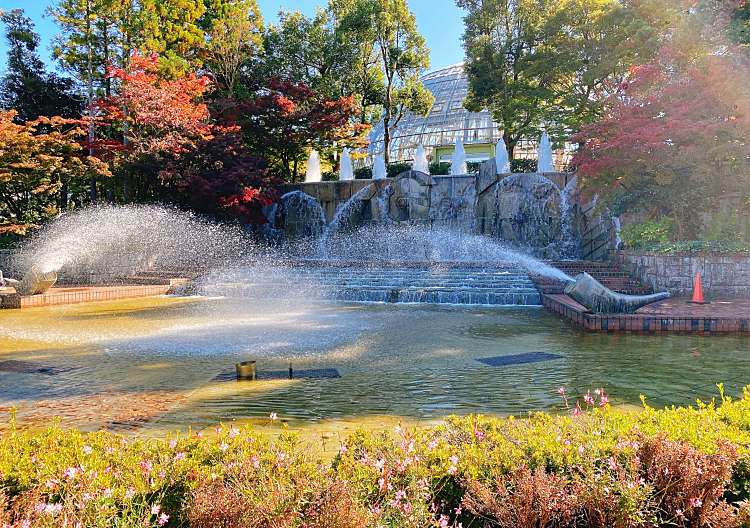 口コミの詳細 福井県総合グリーンセンター 丸岡町楽間 公園 By Line Place