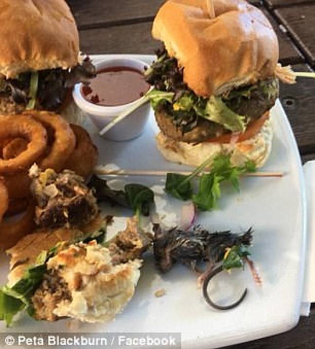 cetak layar, bruce black burn, facebook