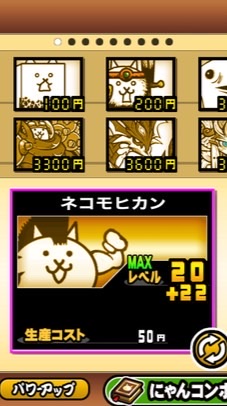 にゃんこ初心者から上級者