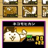 にゃんこ初心者から上級者