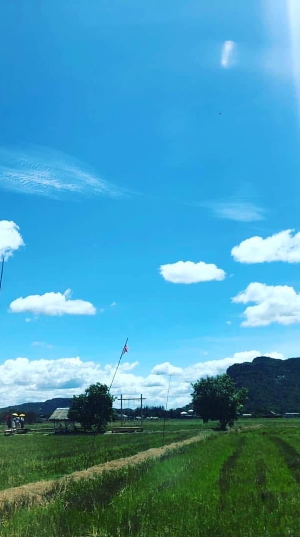 ร้าน Topfee (ลงงานหลุดเอฟของแต่ละวันเท่านั้น)