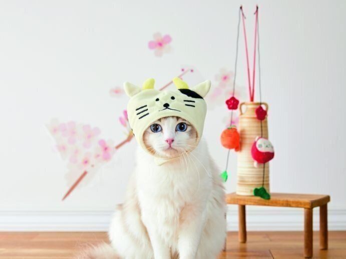 猫用グッズもかわいい♡脱力系癒しキャラ「ししゃもねこ」（ねこのき