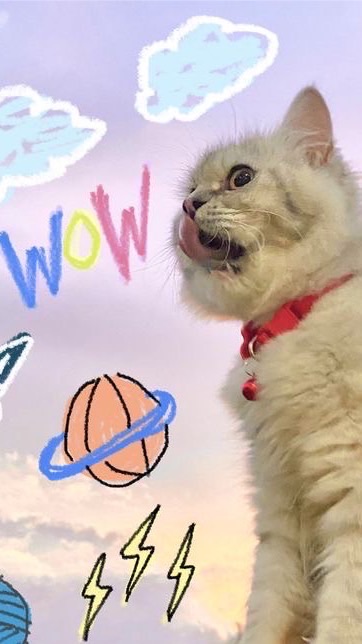 ตัวแทนขายkitty.moeww