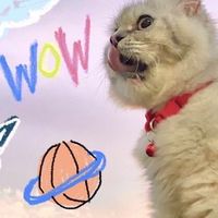 ตัวแทนขายkitty.moeww