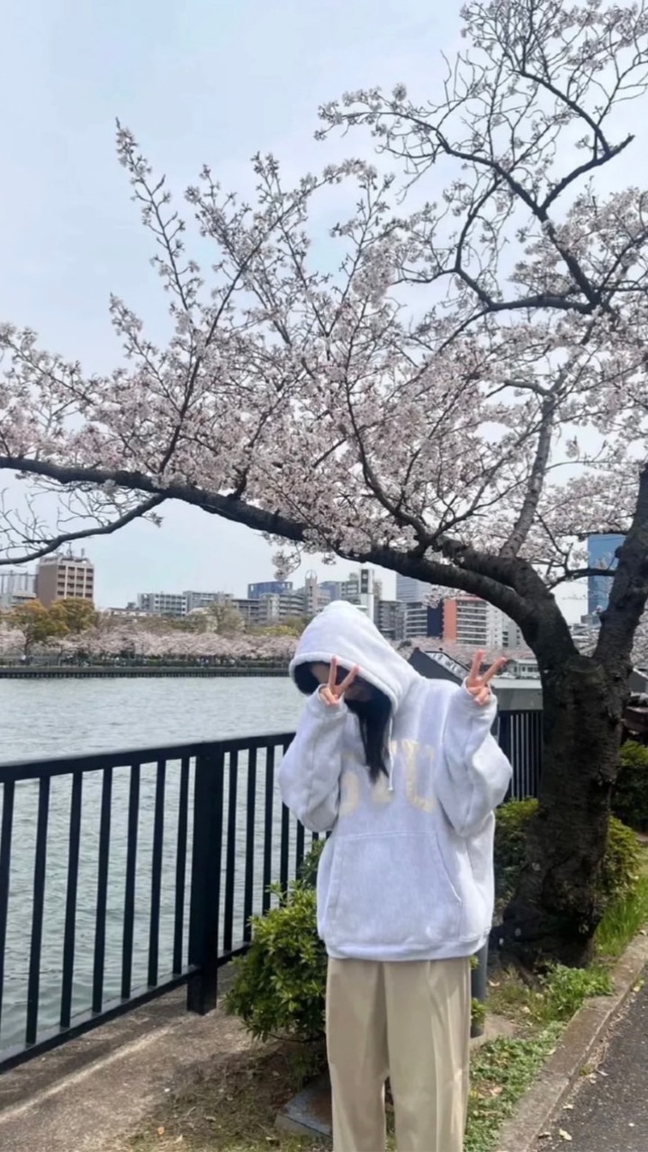 又院長の「𝗞-𝗣𝗢𝗣」💙🪻幼稚園(՞ ܸ. .ܸ՞)︎♡