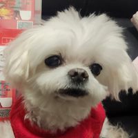 三和