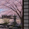 刀剣乱舞ちょーだん也！！〜カオスとハントを添えて〜　【長谷部と愉快な仲間たち本丸】
