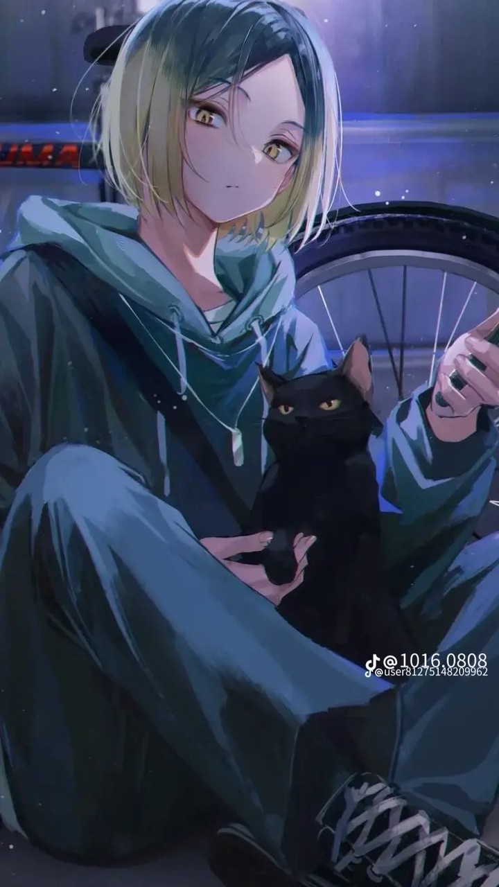 夢男夢女聚集社