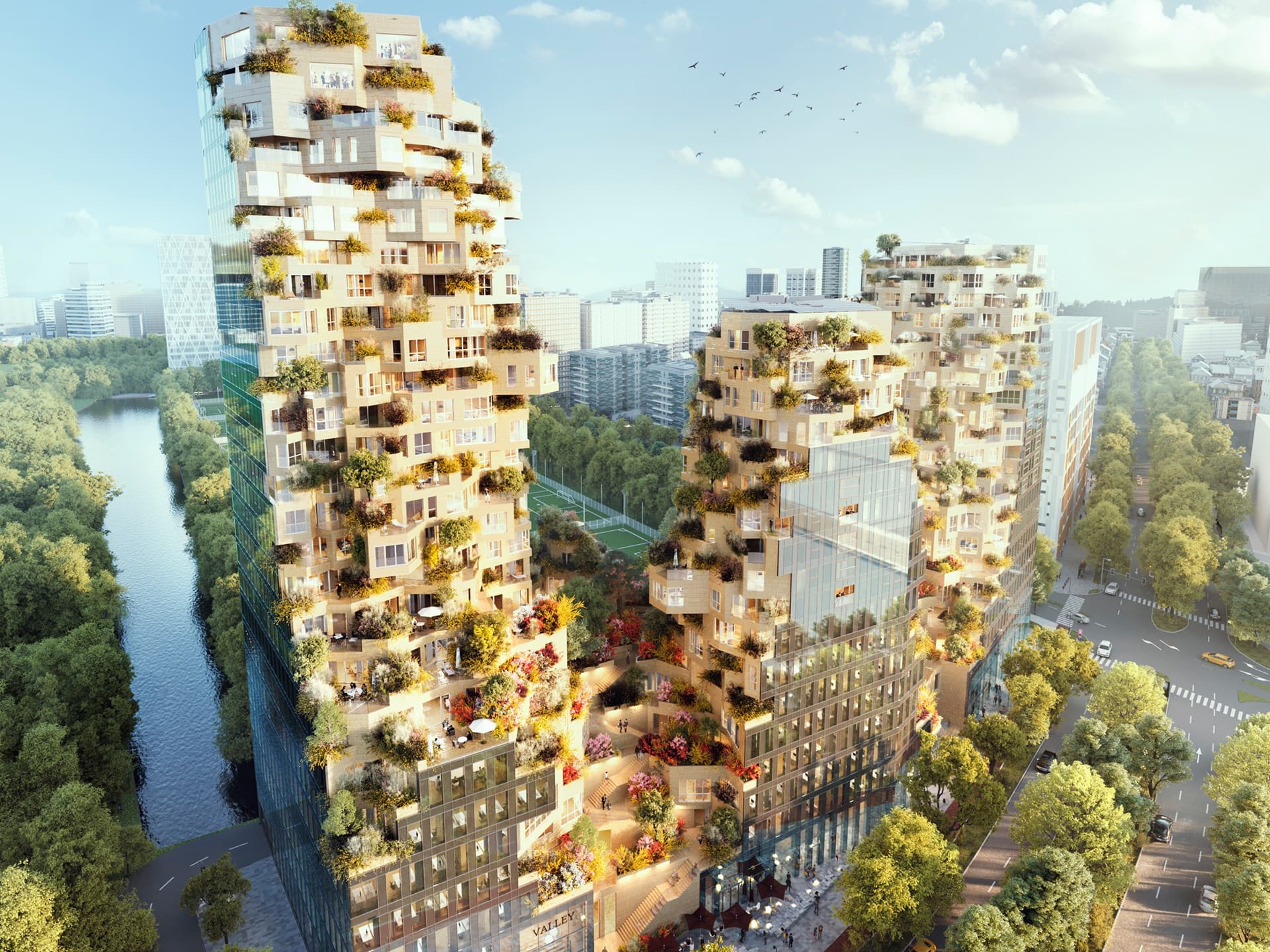 建築;植被;綠建築;荷蘭;商空;住宅