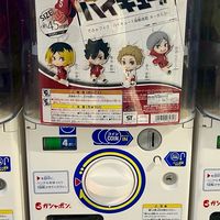 扭蛋許願池✨