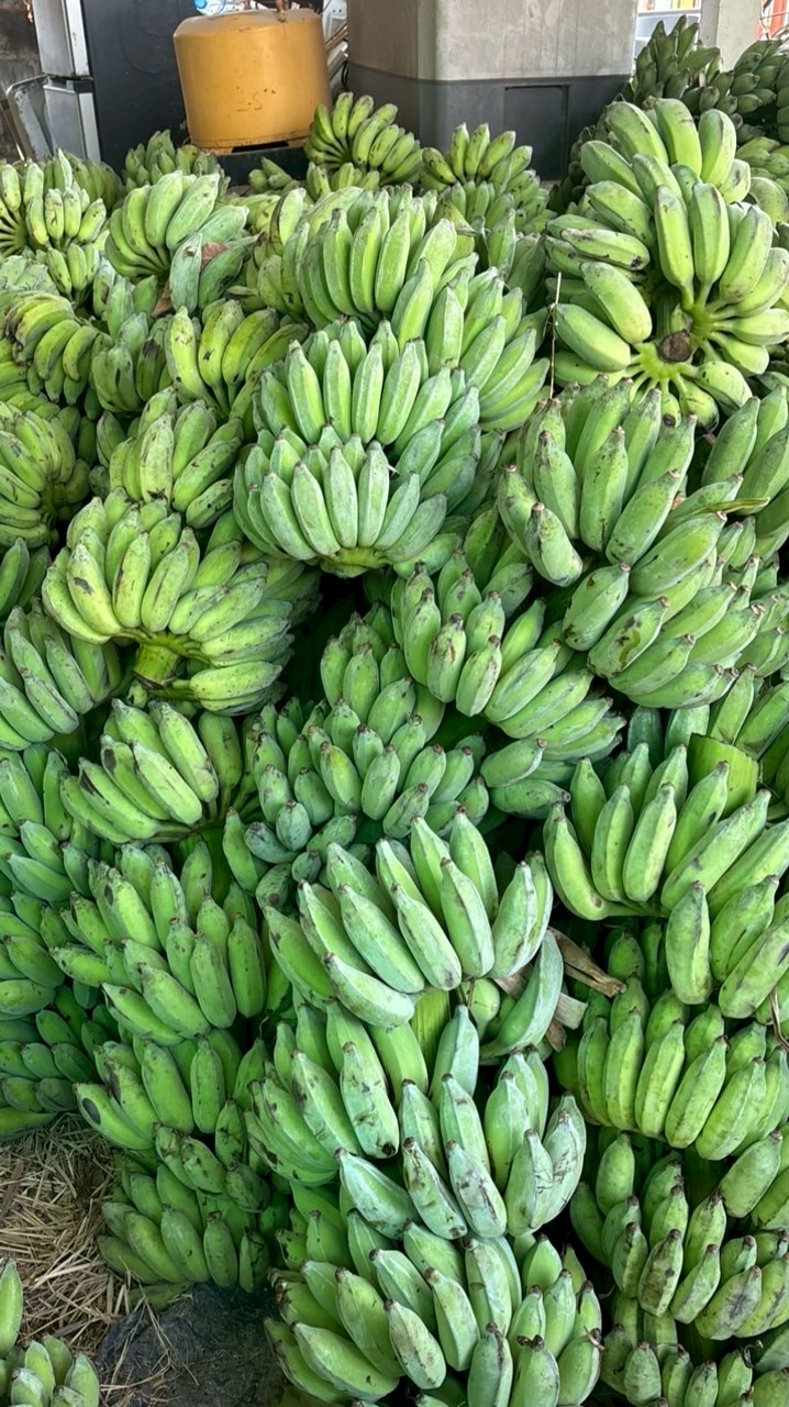 ร้านผลไม้ อาหารช้าง เพียว 🚛📍