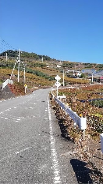 山梨ツーリングの会(ドライブも可)