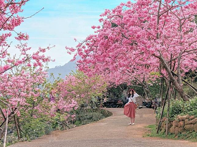 圖片授權：IG @double.leo.tw