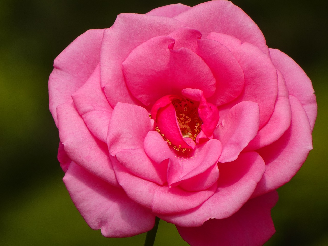 世界最輕巧，28 倍變焦的掌中長砲 Sony DSC-HX99 實拍評測