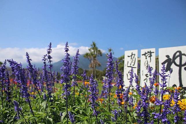 圖片授權：IG @photograph._.mg