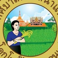 ศูนย์ประสานงานประจำหน่วยเลือกตั้ง ทต.นาแพง กปน.