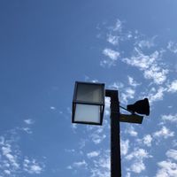 ペアサポチャイルドの会