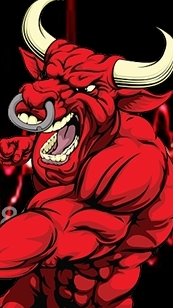 วัวชนเเดนใต้สายโหด