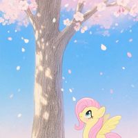 小馬卡牌/周邊交易社🌷🦄🫧