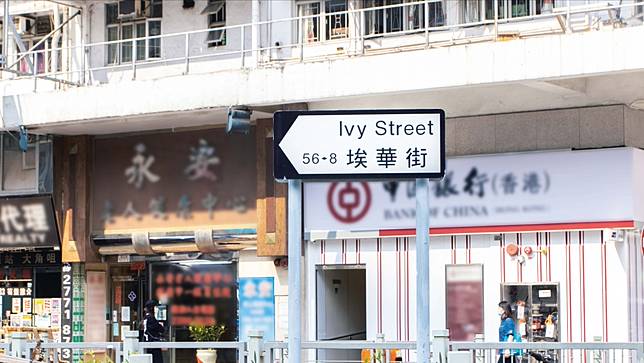 香港街道名稱趣談：觀樹篇| Metro Pop | Line Today