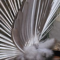 漫画、アニメ好きな人集まろ〜