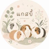 บ้านของเเกสบี้