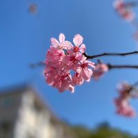 巨才科技有限公司