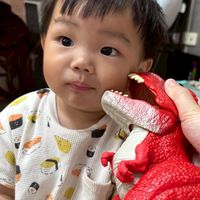 林萌的百寶袋