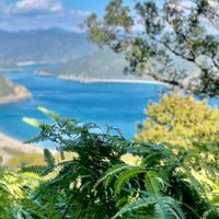 ☘️スマイル関西登山クラブ☘️