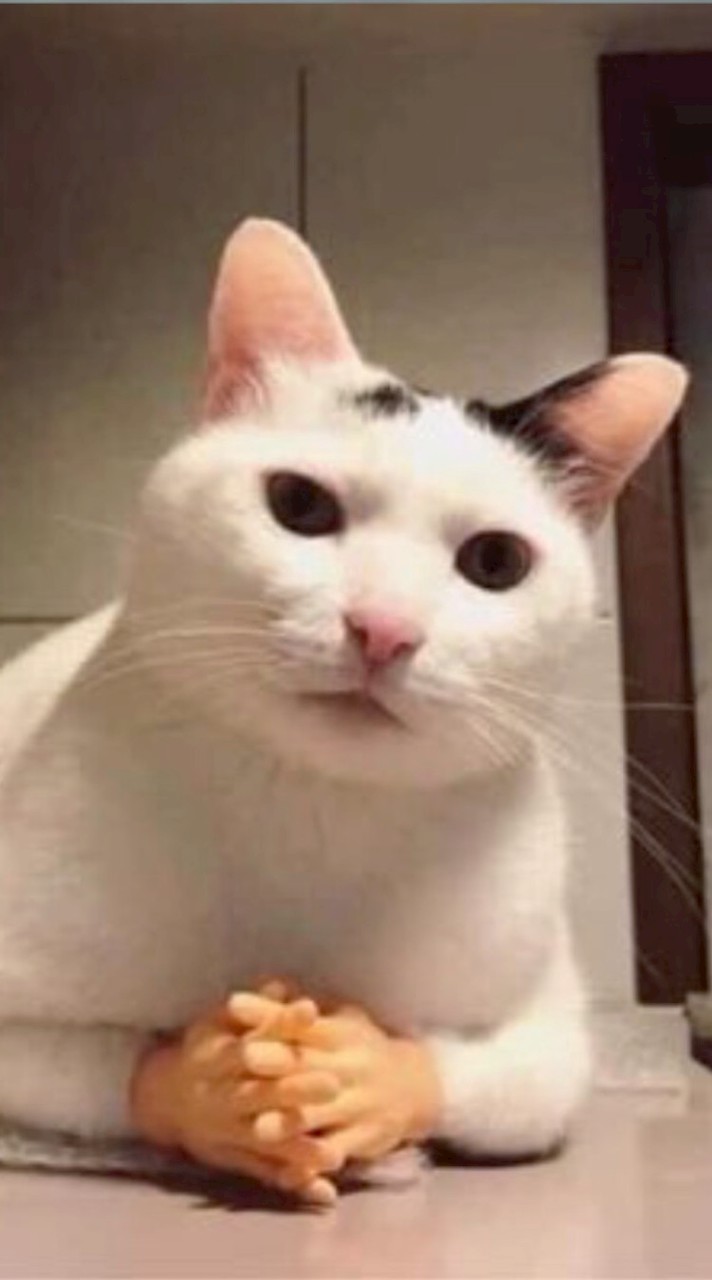 พูดคุยพลทหารออนไลน์