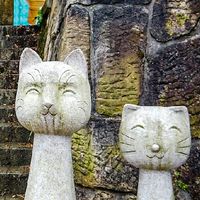 台湾人/日本人 交流チャット・日本語チャット